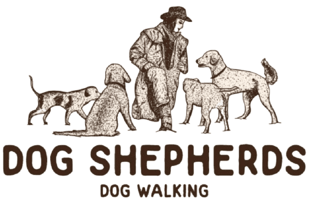 dog shepherds
